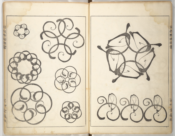 Seashell patterns illustrated by Yochiro Hirase, showcasing Japanese design and the intersection of art and science.
