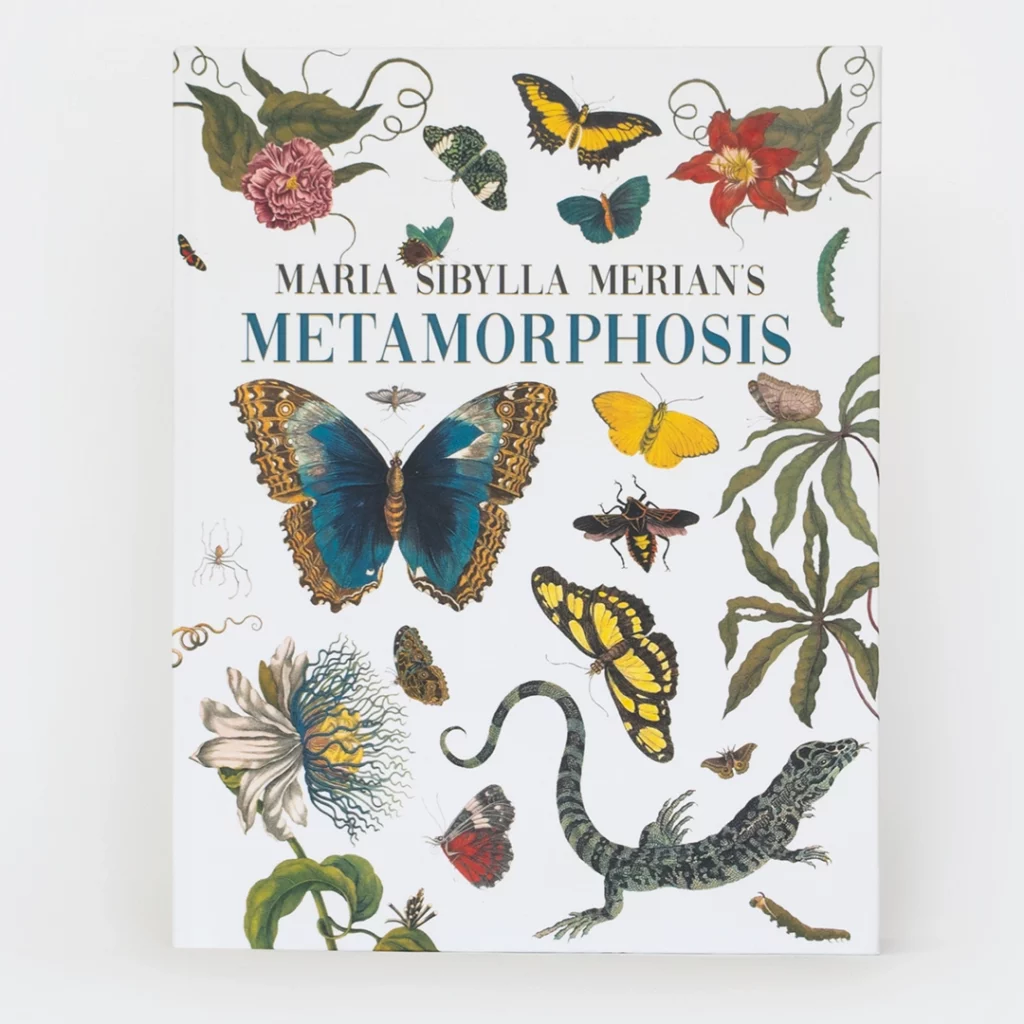 Front Cover of Maria Sibylla Merian's Metamorphosis by Maria Sibylla Merian ISBN:9781528723916